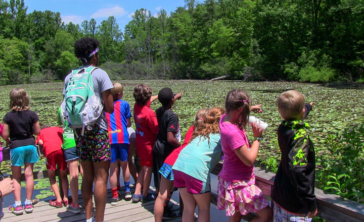 Youth will explore this decades-old, mature beaver pond habitat, learn how to identify evidence of beaver activity, and discover why beavers are so important to many other plants and animals.