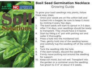Image of basil seed care card
