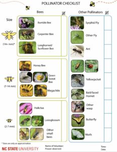image of pollinator checklist handout
