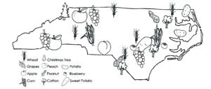 North Carolina Crop Map