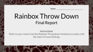 image of rainbox throw down final report