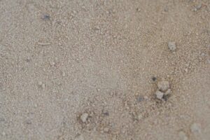 image of coarse sand