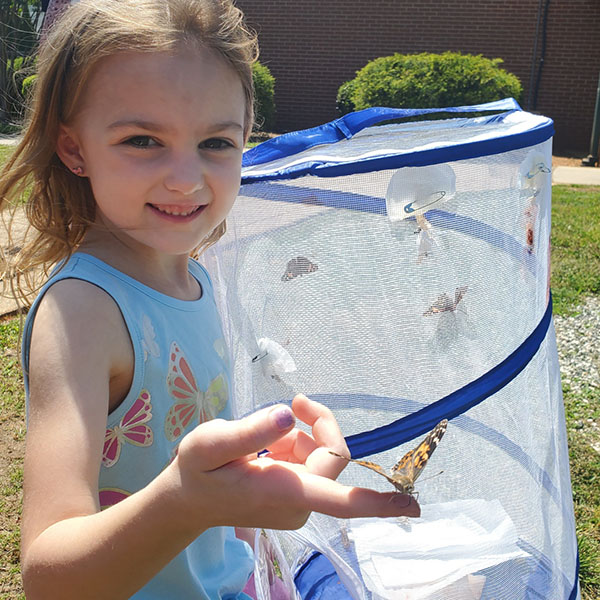 butterfly release Child releasing a swallowtail butterfly. The butterfly is sitting on her finger.